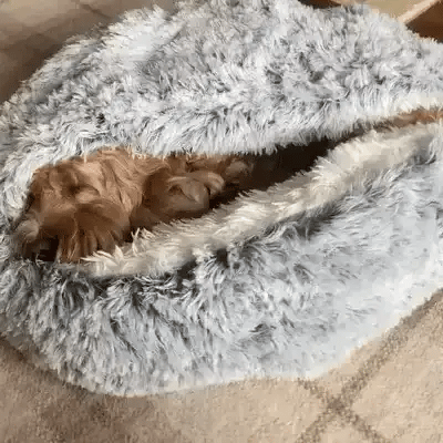 Azura | Cozy Cave Pet Bed | Calming & Comfortable Dog Bed for Deep Relaxation