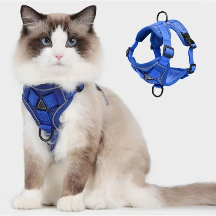 Azura | Reflective Cat Harness and Leash Set