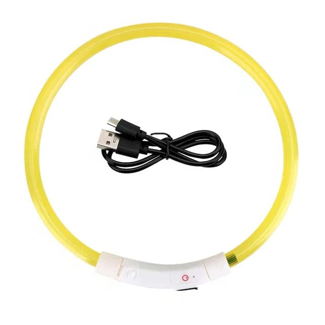 Azura | Light Up Dog Collar, USB Rechargeable LED Glowing Collar