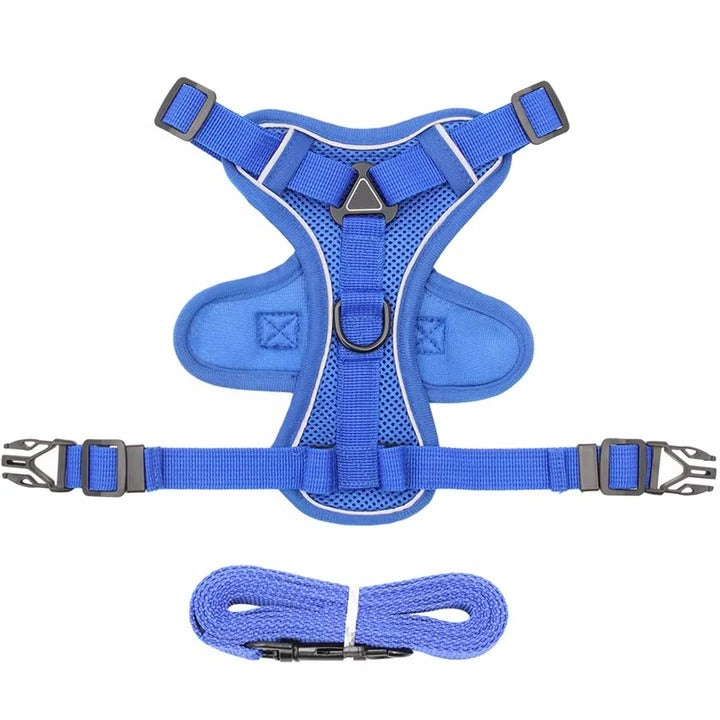Azura | Reflective Cat Harness and Leash Set