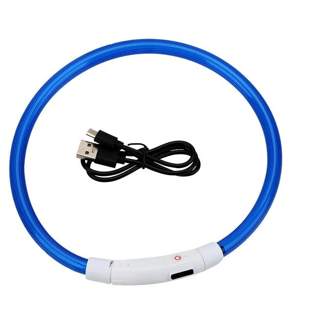 Azura | Light Up Dog Collar, USB Rechargeable LED Glowing Collar