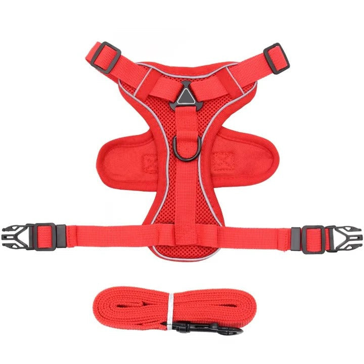 Azura | Reflective Cat Harness and Leash Set