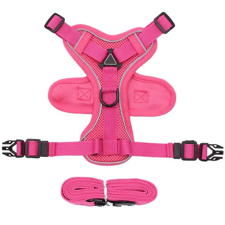 Azura | Reflective Cat Harness and Leash Set