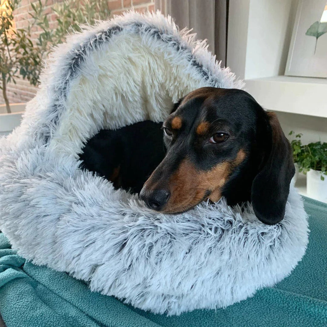 Azura | Cozy Cave Pet Bed | Calming & Comfortable Dog Bed for Deep Relaxation