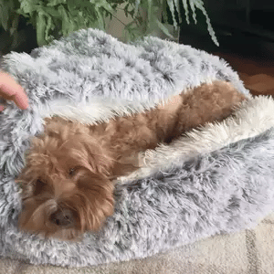 Azura | Cozy Cave Pet Bed | Calming & Comfortable Dog Bed for Deep Relaxation