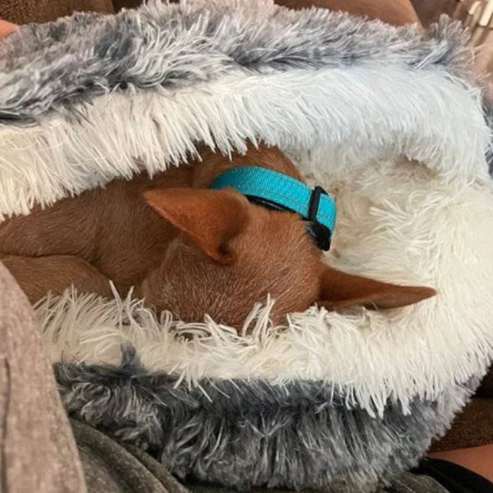 Azura | Cozy Cave Pet Bed | Calming & Comfortable Dog Bed for Deep Relaxation