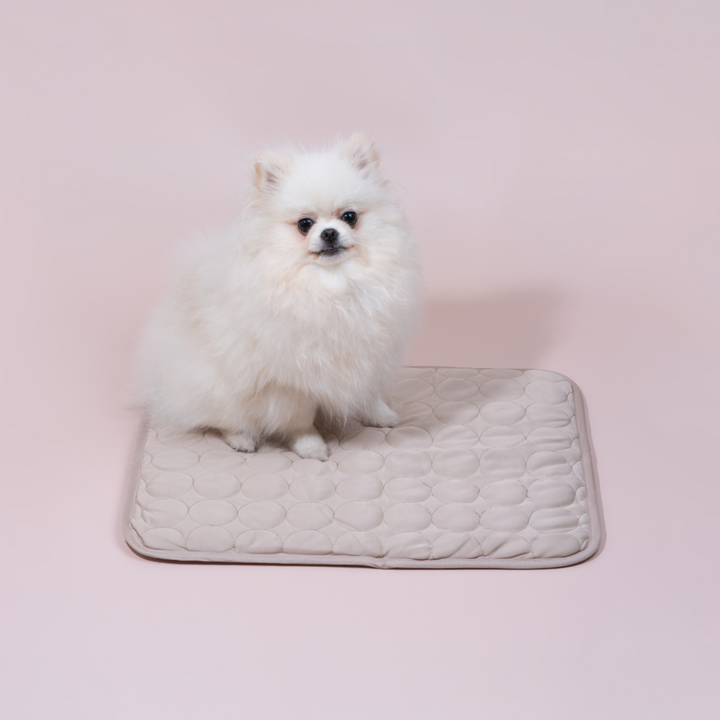 Azura | Innovative Cooling Mat for Dogs (4x Cooling Power) - ChillComfort