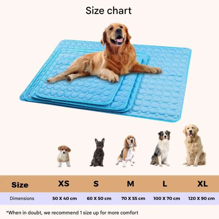 Azura | Innovative Cooling Mat for Dogs (4x Cooling Power) - ChillComfort