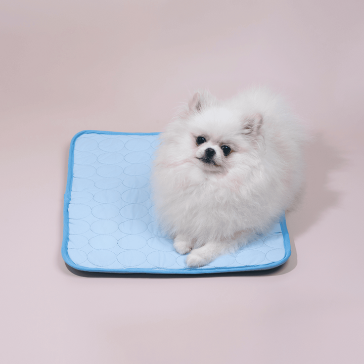 Azura | Innovative Cooling Mat for Dogs (4x Cooling Power) - ChillComfort