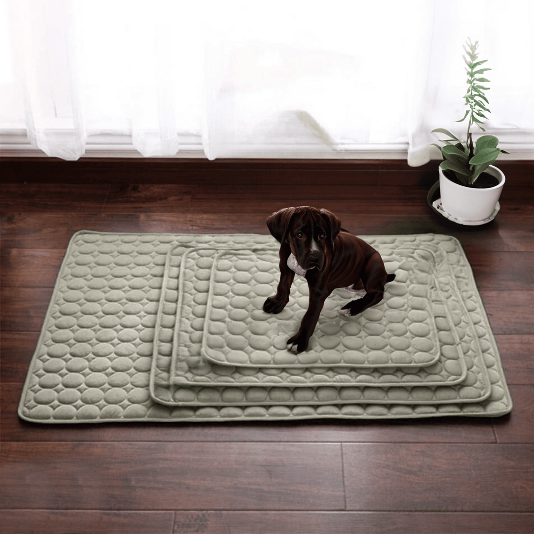 Azura | Innovative Cooling Mat for Dogs (4x Cooling Power) - ChillComfort