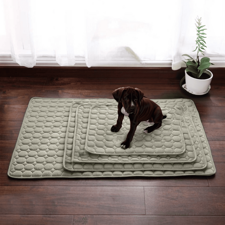 Azura | Innovative Cooling Mat for Dogs (4x Cooling Power) - ChillComfort