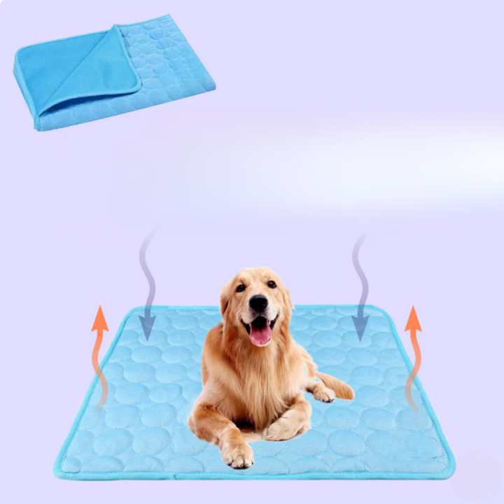 Azura | Innovative Cooling Mat for Dogs (4x Cooling Power) - ChillComfort