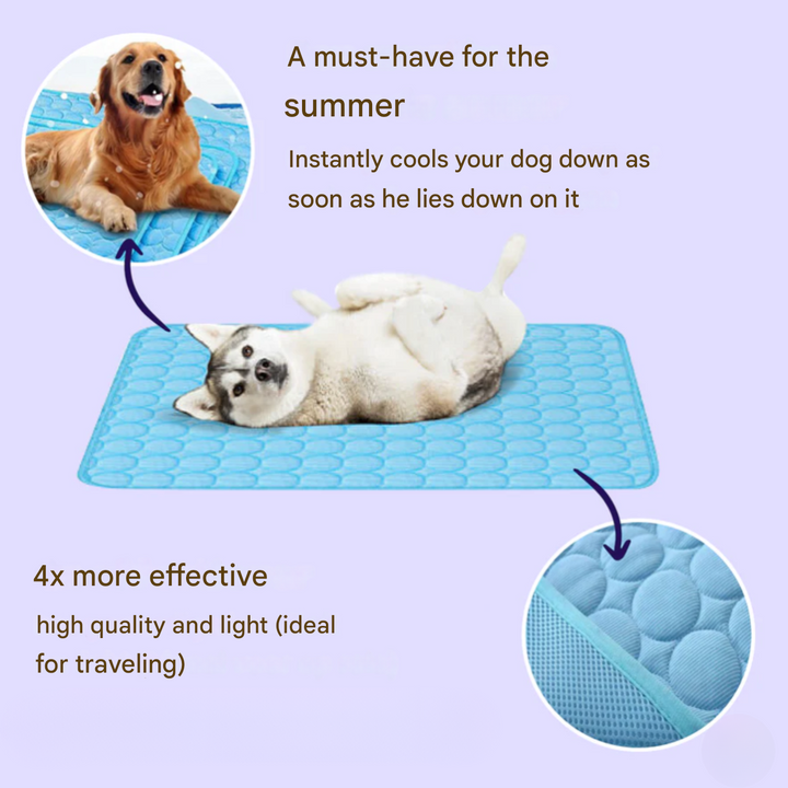 Azura | Innovative Cooling Mat for Dogs (4x Cooling Power) - ChillComfort
