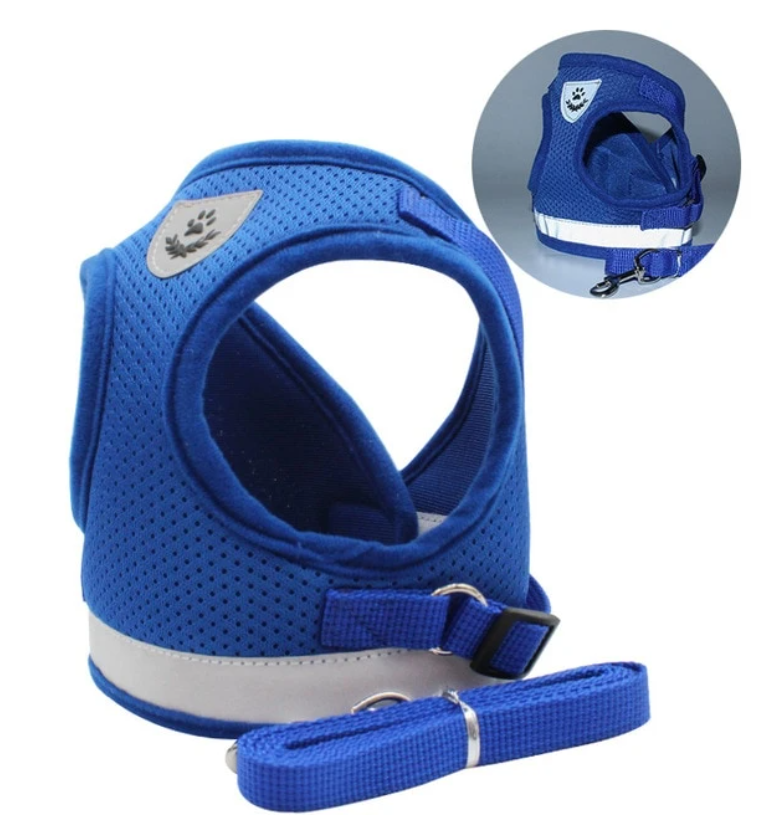 AdventureKit - Safe Harness for Adventurous Cats Azura