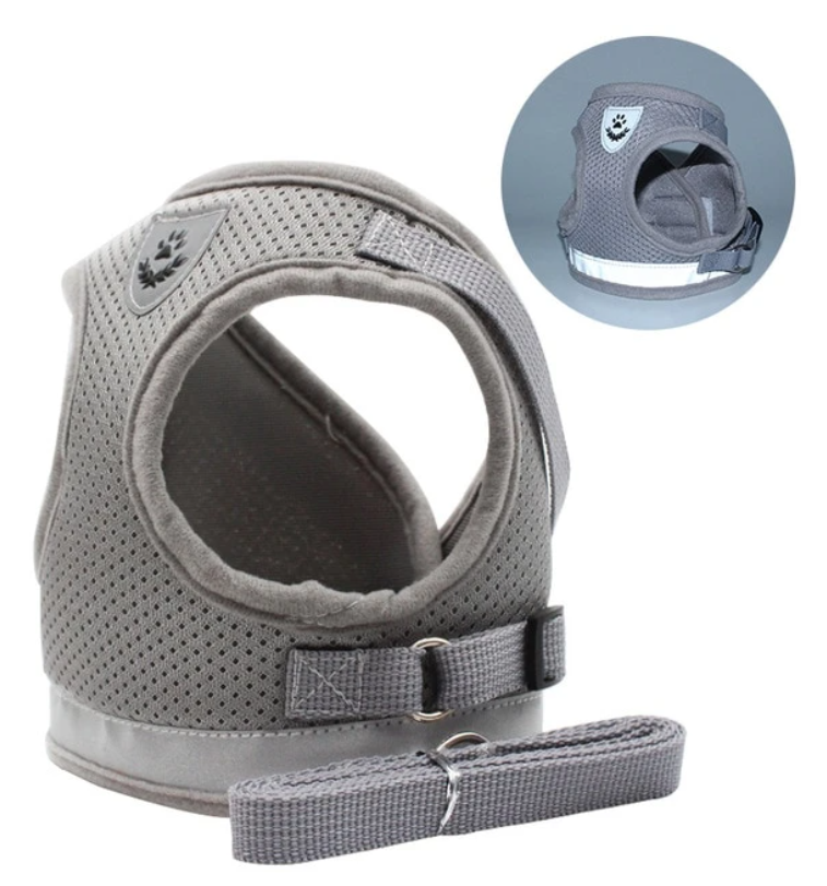 AdventureKit - Safe Harness for Adventurous Cats Azura