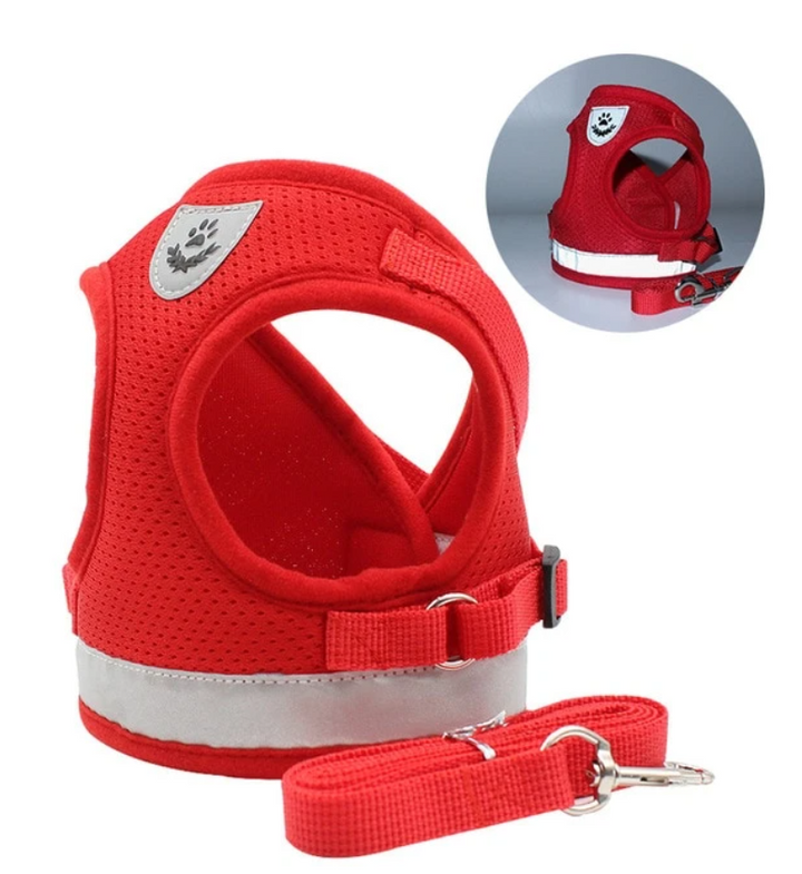 AdventureKit - Safe Harness for Adventurous Cats Azura