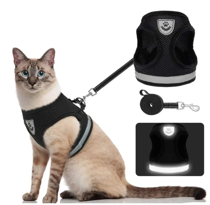 Explorer Harness with Leash Azura