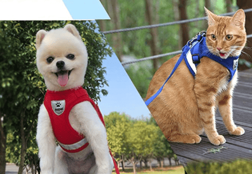 Azura | ADVENTURE HARNESS – Escape-proof cat harness with leash & reflective elements