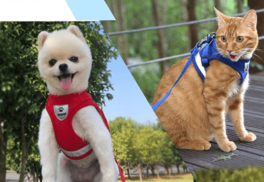 Azura | ADVENTURE HARNESS – Escape-proof cat harness with leash & reflective elements
