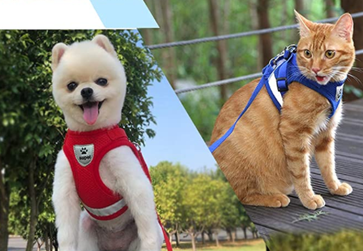 AdventureKit - Safe Harness for Adventurous Cats Azura