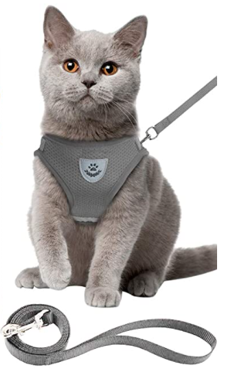 AdventureKit - Safe Harness for Adventurous Cats Azura