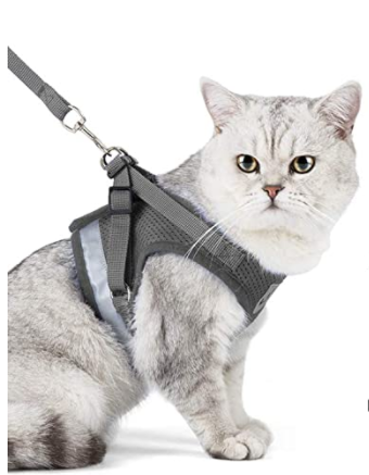 AdventureKit - Safe Harness for Adventurous Cats Azura
