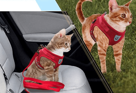 Azura | ADVENTURE HARNESS – Escape-proof cat harness with leash & reflective elements