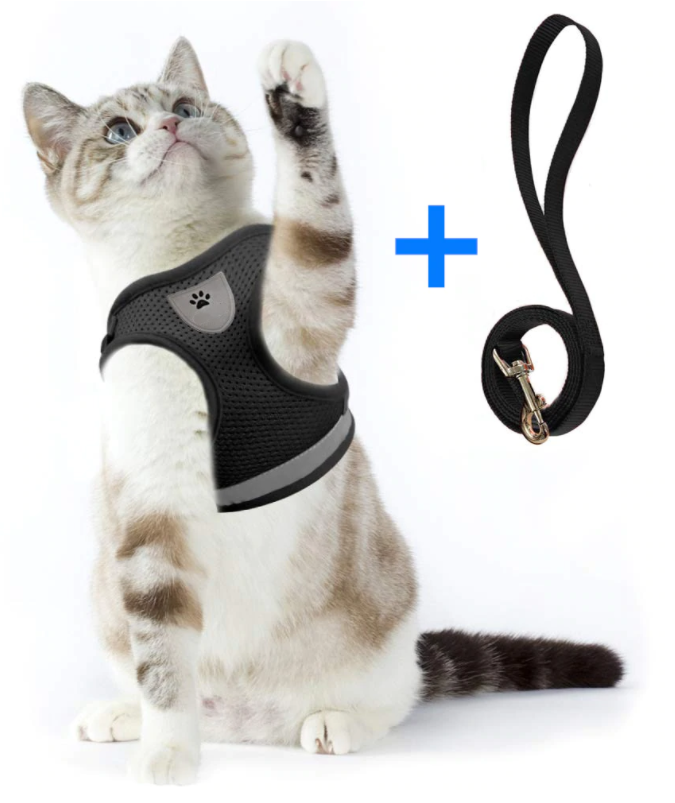 AdventureKit - Safe Harness for Adventurous Cats Azura