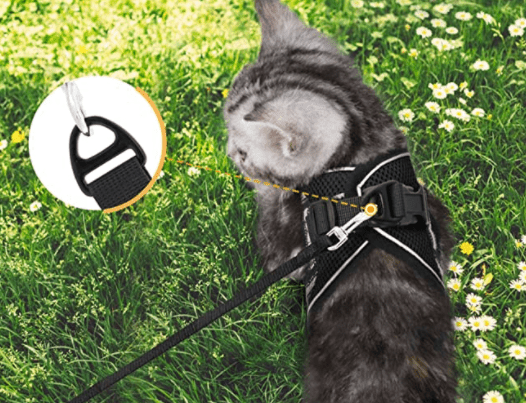 Azura | ADVENTURE HARNESS – Escape-proof cat harness with leash & reflective elements