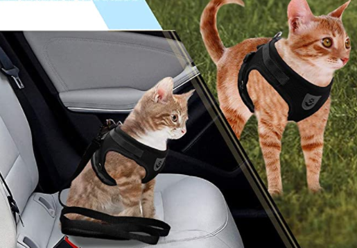 AdventureKit - Safe Harness for Adventurous Cats Azura