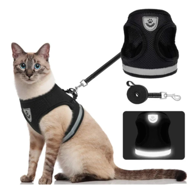 AdventureKit - Safe Harness for Adventurous Cats Azura