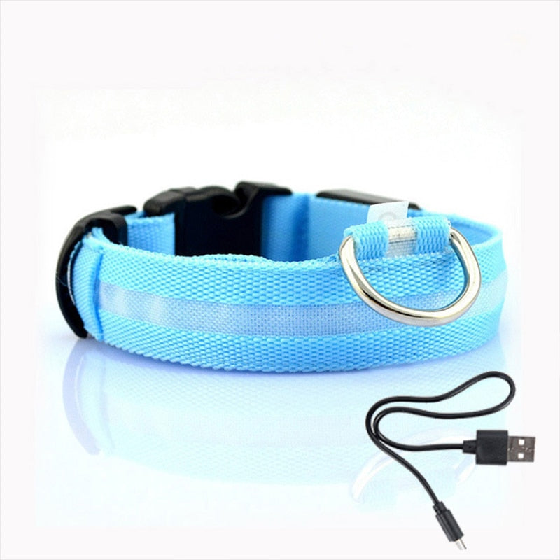 LED Dog Collar - GlowCollar Azura