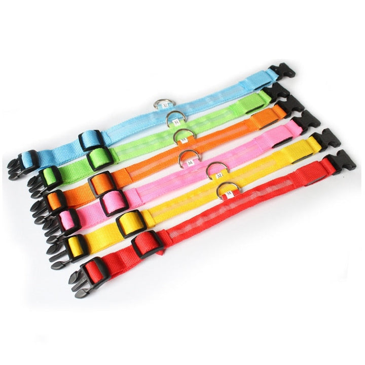LED Dog Collar - GlowCollar Azura