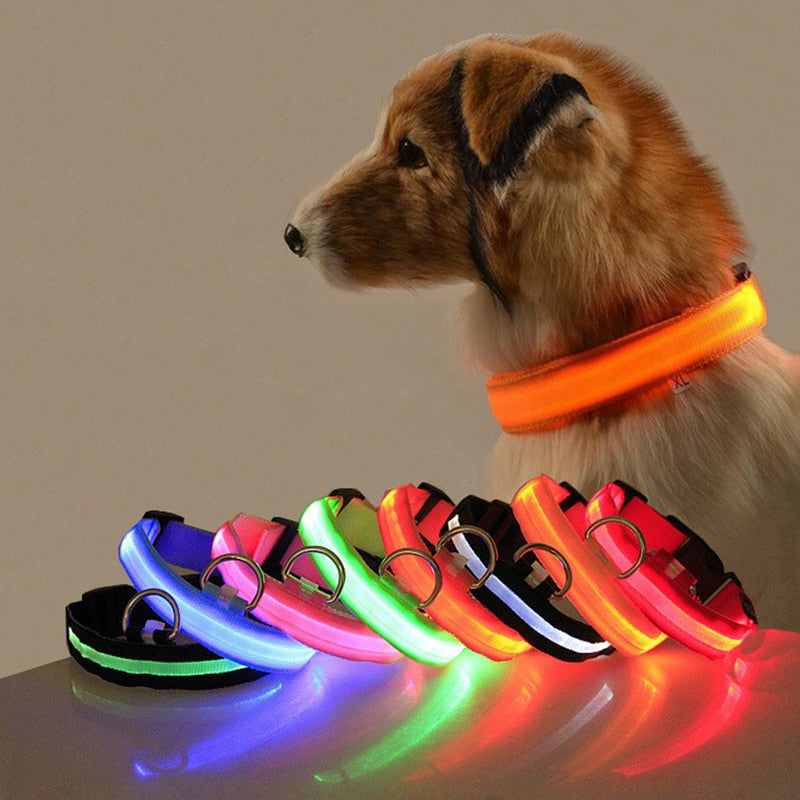 LED Dog Collar - GlowCollar Azura
