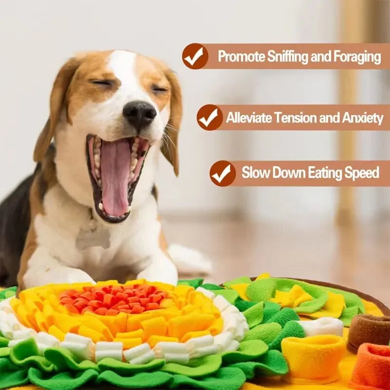Azura | Snuffle Mat for Dogs