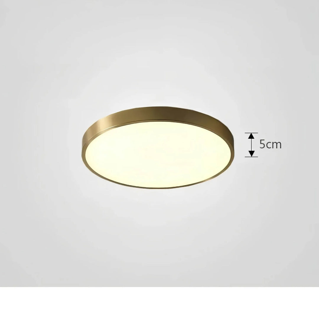 BowLift | Ceiling Light ChromaCraft