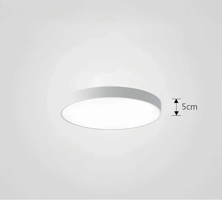 BowLift | Ceiling Light ChromaCraft