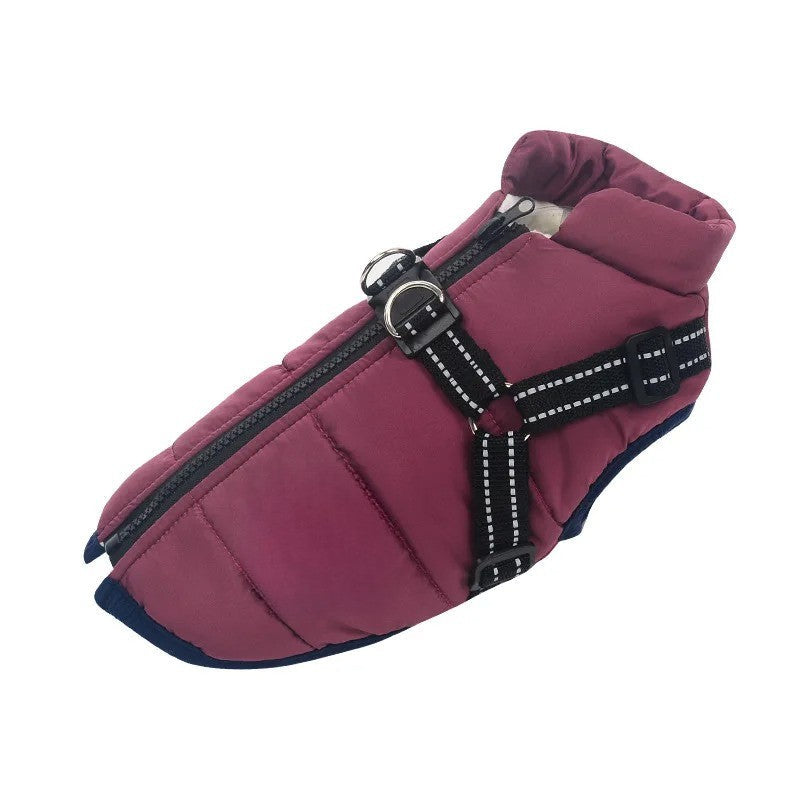 Azura | All-Weather Insulated Dog Jacket with Built-in Harness
