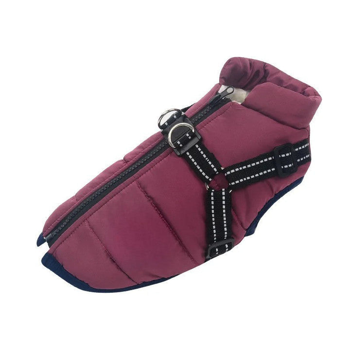 Azura | All-Weather Insulated Dog Jacket with Built-in Harness
