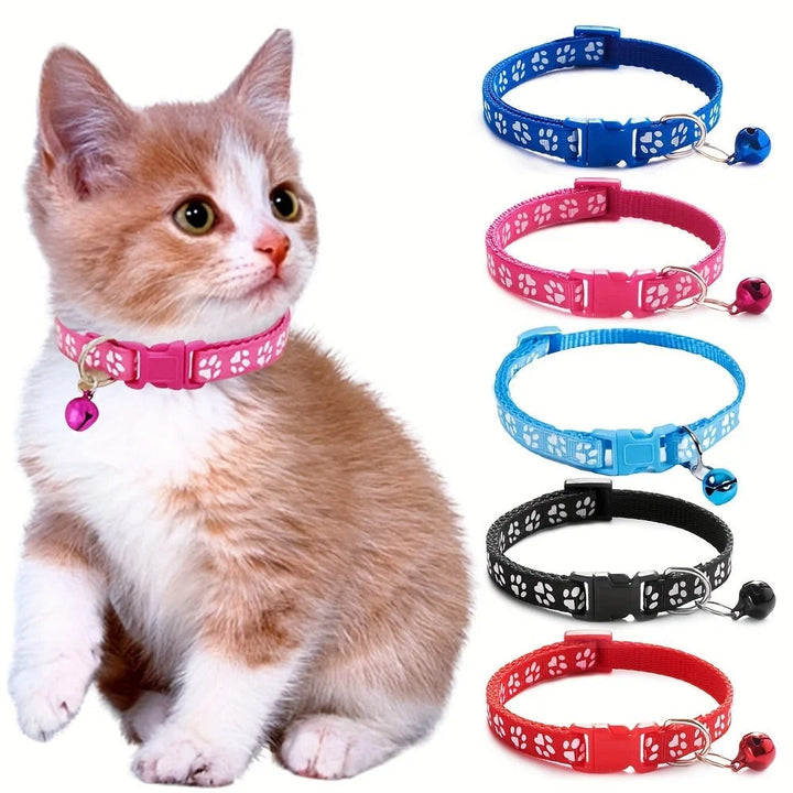 Fashion Pet Cat Collar Azura