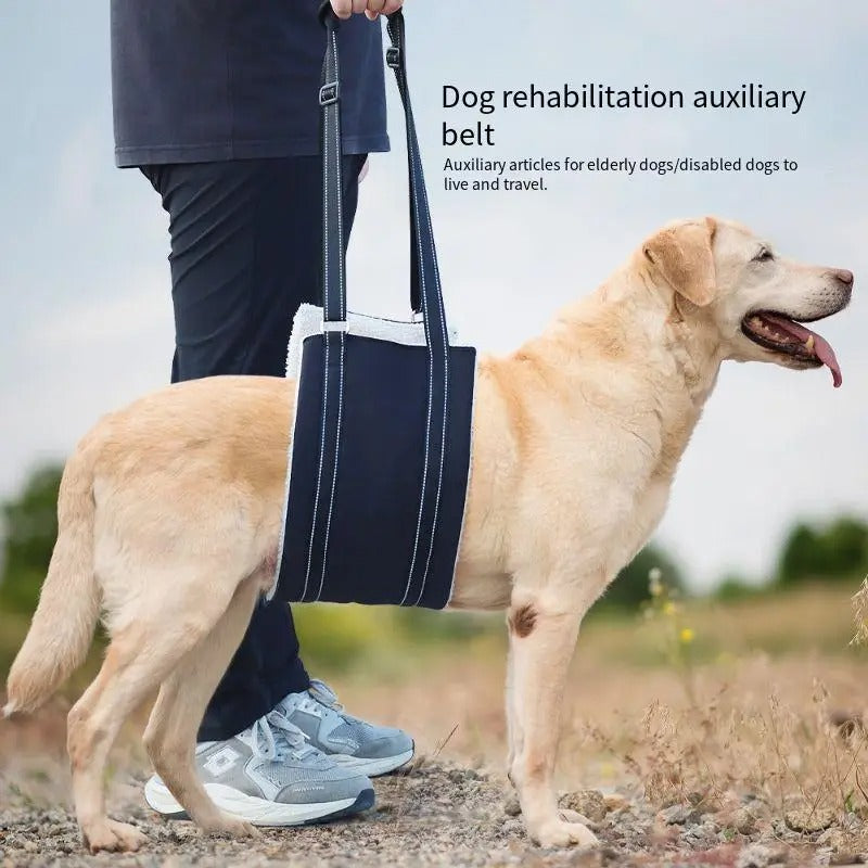 Dog support harness - Adjustable rehabilitation belt Azura