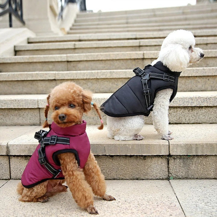 Azura | All-Weather Insulated Dog Jacket with Built-in Harness