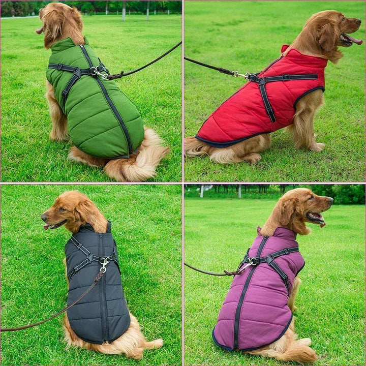 Azura | All-Weather Insulated Dog Jacket with Built-in Harness