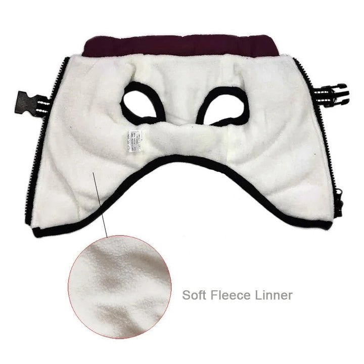 Azura | All-Weather Insulated Dog Jacket with Built-in Harness
