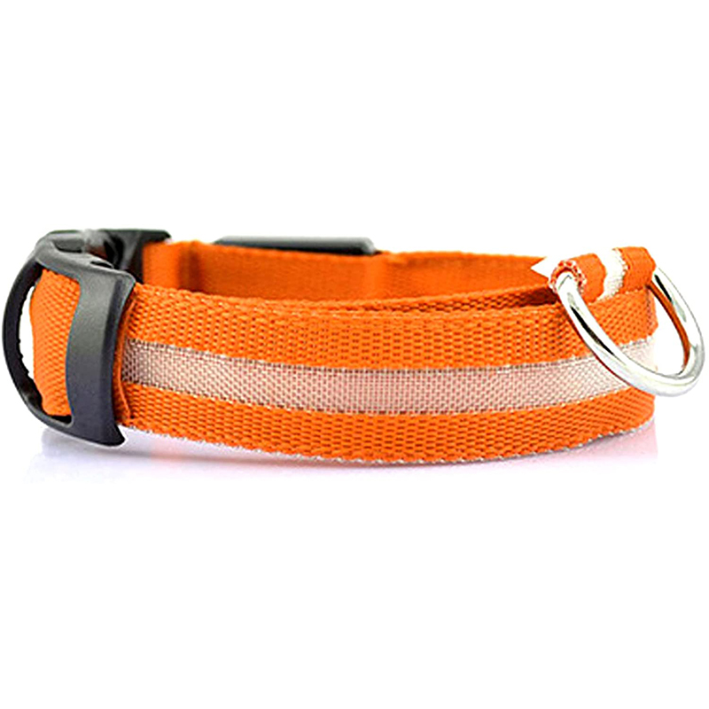 Azura | Luminous Animal Collar with LED Light – Rechargeable, Waterproof, Adjustable Fit for Enhanced Safety at Night
