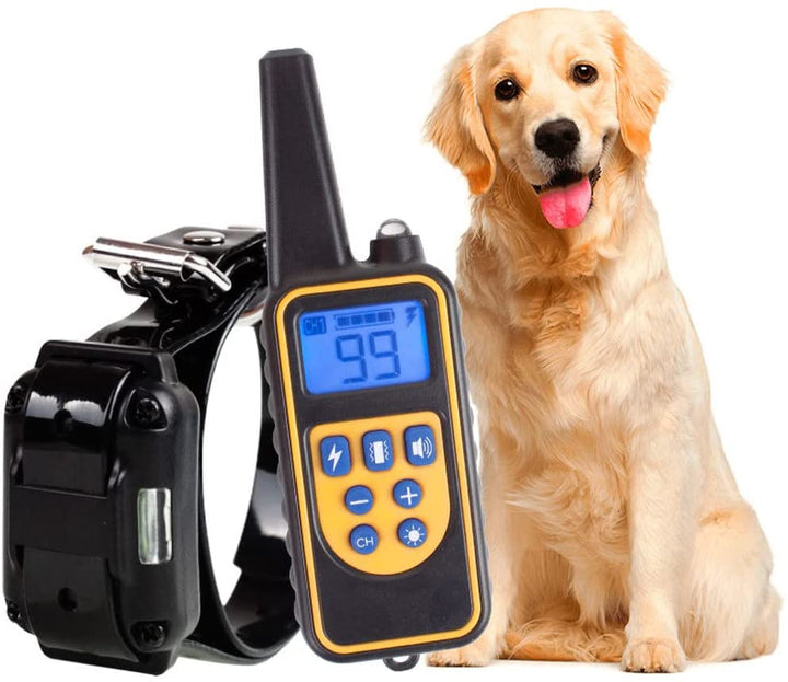 Azura | 800M Rechargeable Electric Dog Training Collar | Waterproof, Remote Control & Ideal for Effective Dog Training