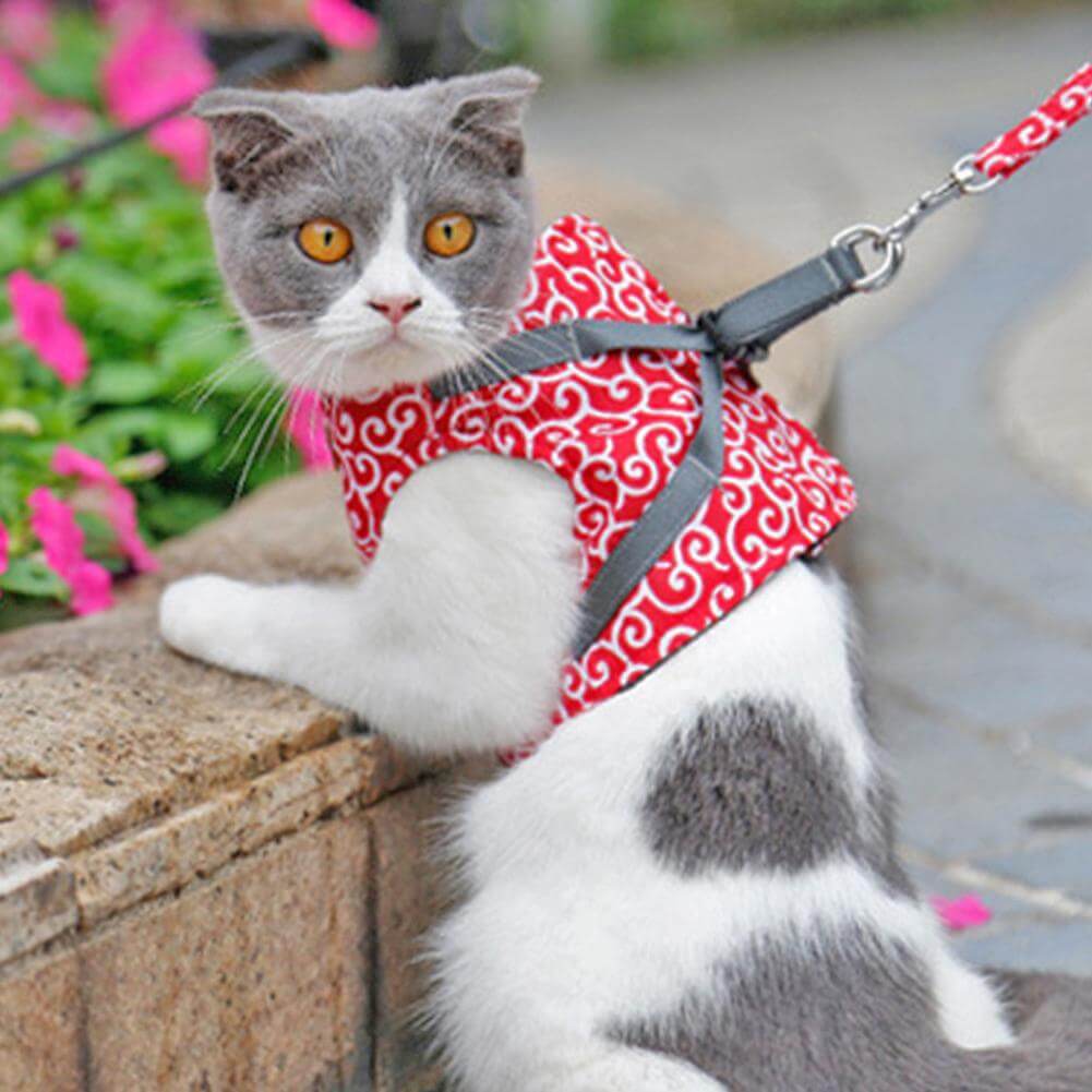 Azura | PAWVENTURE HARNESS – Cat Harness Vest Set with Breathable Mesh & Leash