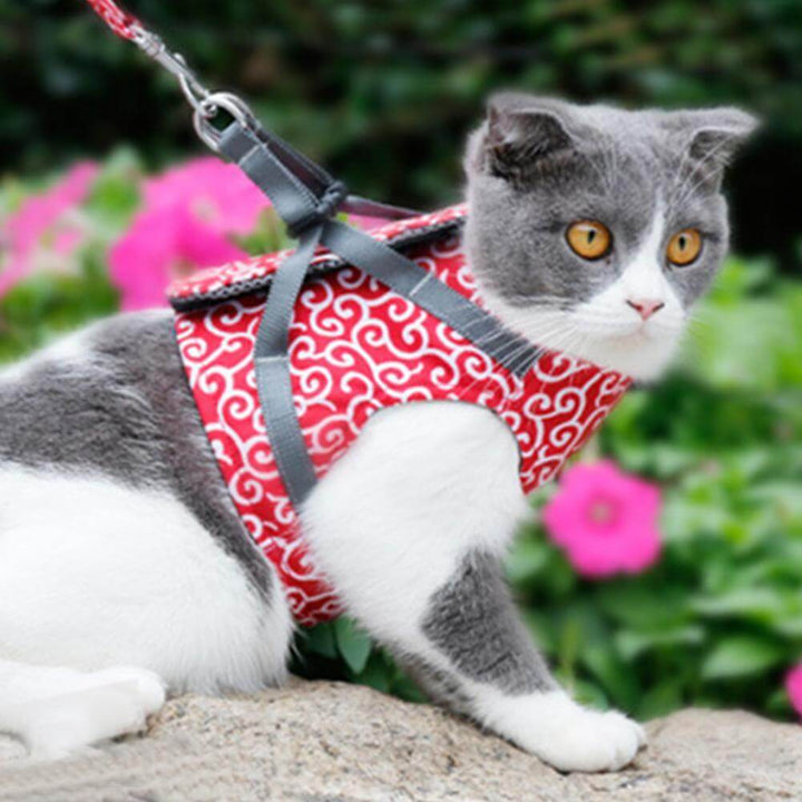 Azura | PAWVENTURE HARNESS – Cat Harness Vest Set with Breathable Mesh & Leash
