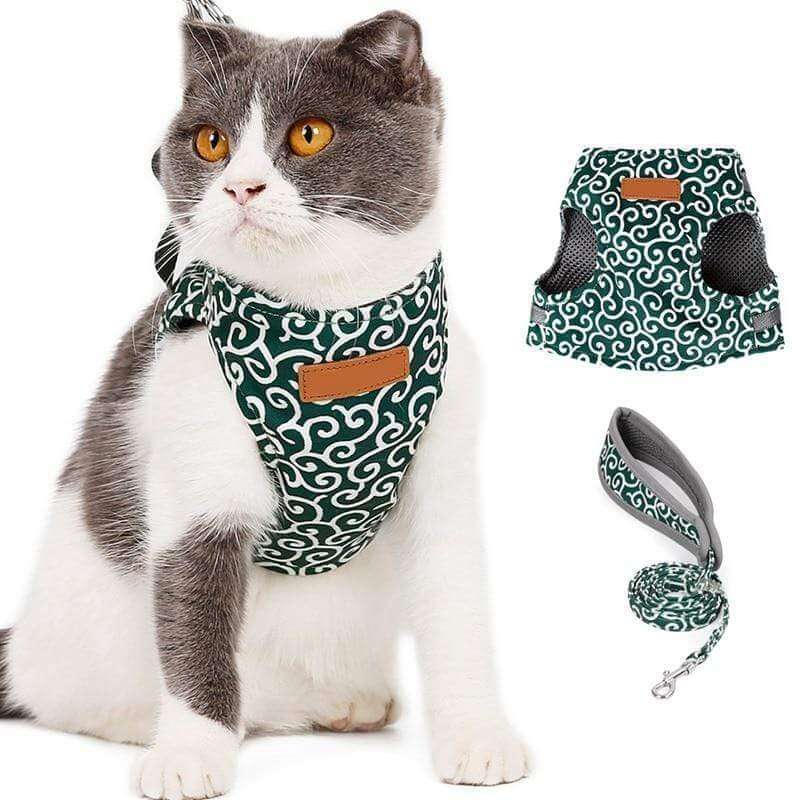 Azura | PAWVENTURE HARNESS – Cat Harness Vest Set with Breathable Mesh & Leash
