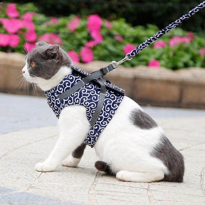 Azura | PAWVENTURE HARNESS – Cat Harness Vest Set with Breathable Mesh & Leash